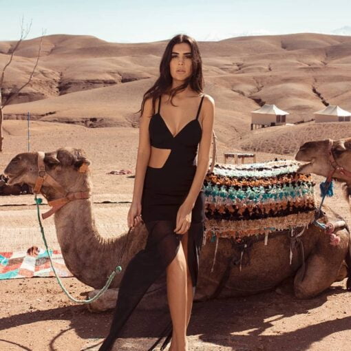 Agafay Marrakesh camel ride