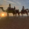 agafay camp sunset camel ride