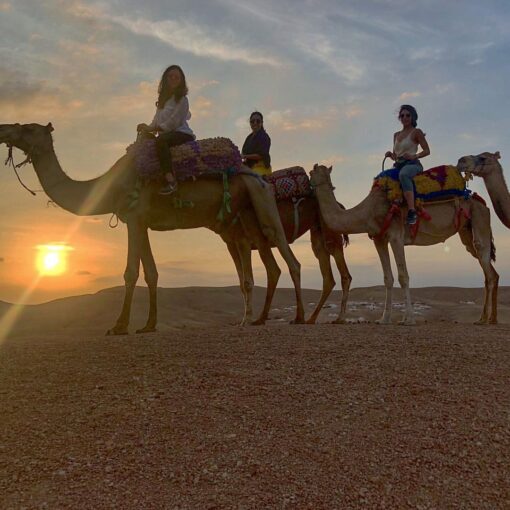 agafay camp sunset camel ride