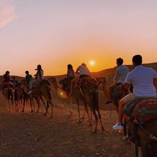 agafay camel ride