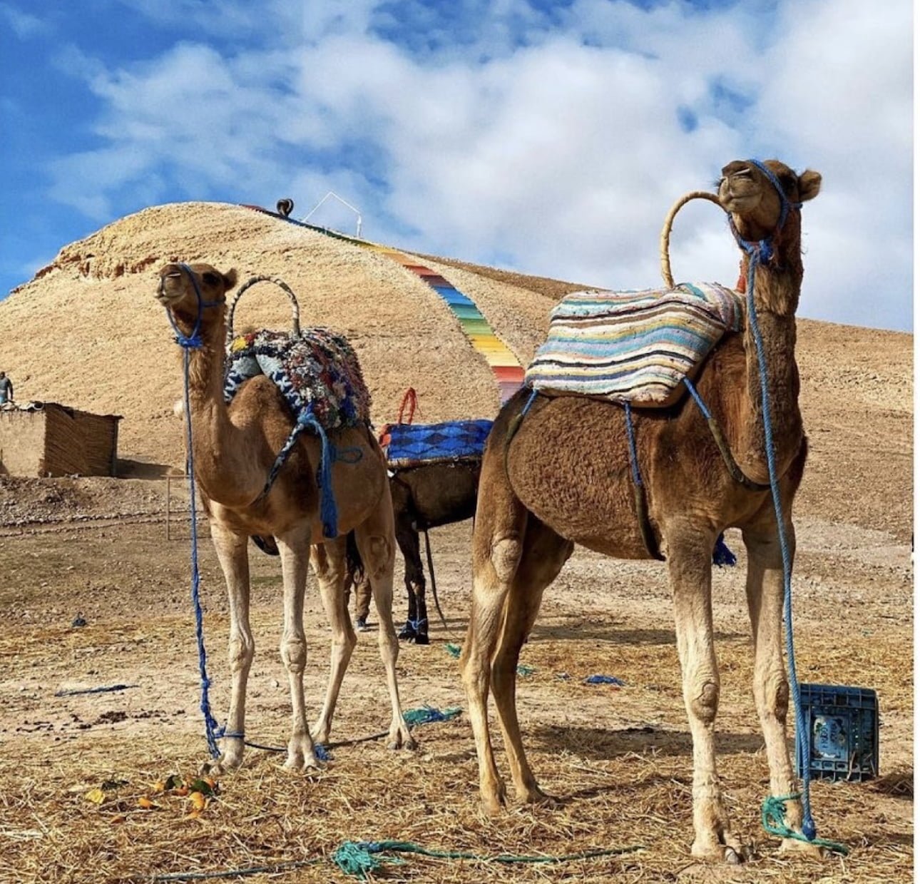 Agafay Camelback Trekking | Agafay luxury camp, glamping camel ride and quad