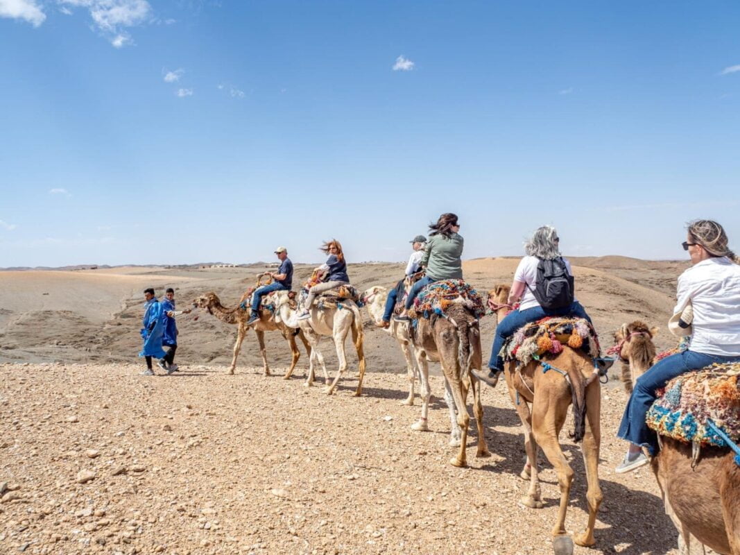 chameaux-desert-dAgafay