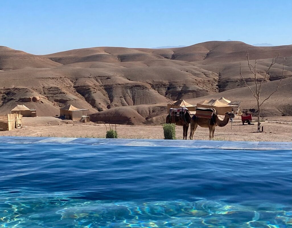 agafay activities – Agafay Luxury Camp, glamping quad & camel, Book ...